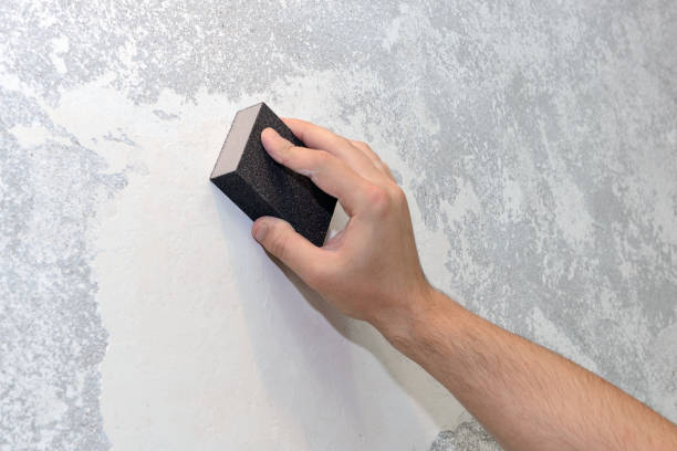 Best Residential Mold Inspection & Testing  in Ridgely, MD