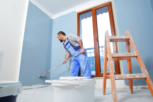 Best Mold Removal for HVAC Installations  in Ridgely, MD