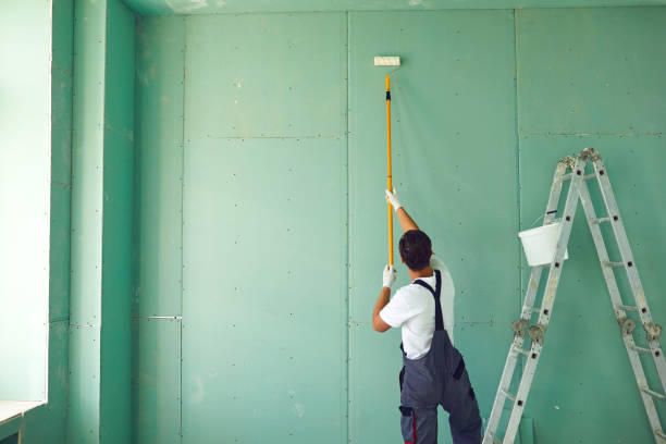 Reliable Ridgely, MD Mold Removal Solutions