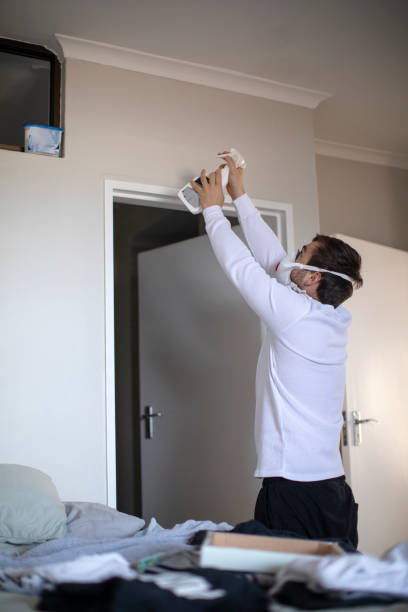 Best Commercial Mold Inspection  in Ridgely, MD