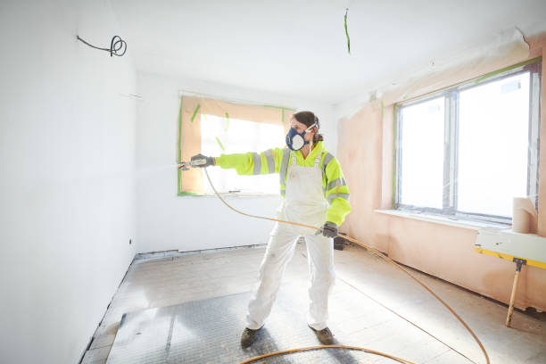 Best Basement Mold Removal  in Ridgely, MD