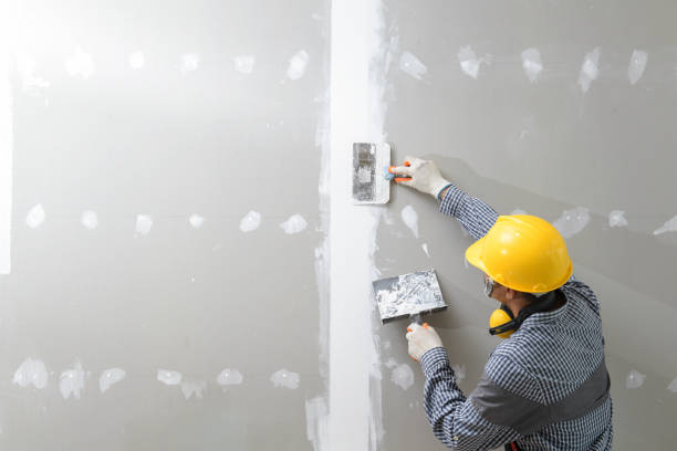 Best Air Quality Testing for Mold Spores  in Ridgely, MD