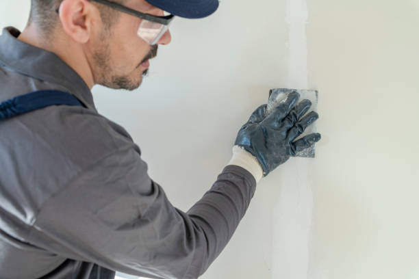 Best Attic Mold Removal  in Ridgely, MD